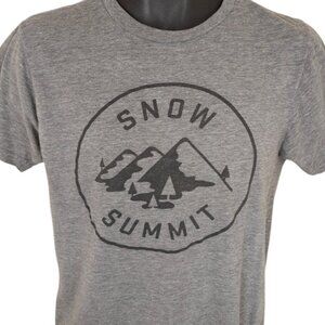 Ski Snow Summit T Shirt Mens Size Medium Gray Big Bear Mountain Resort